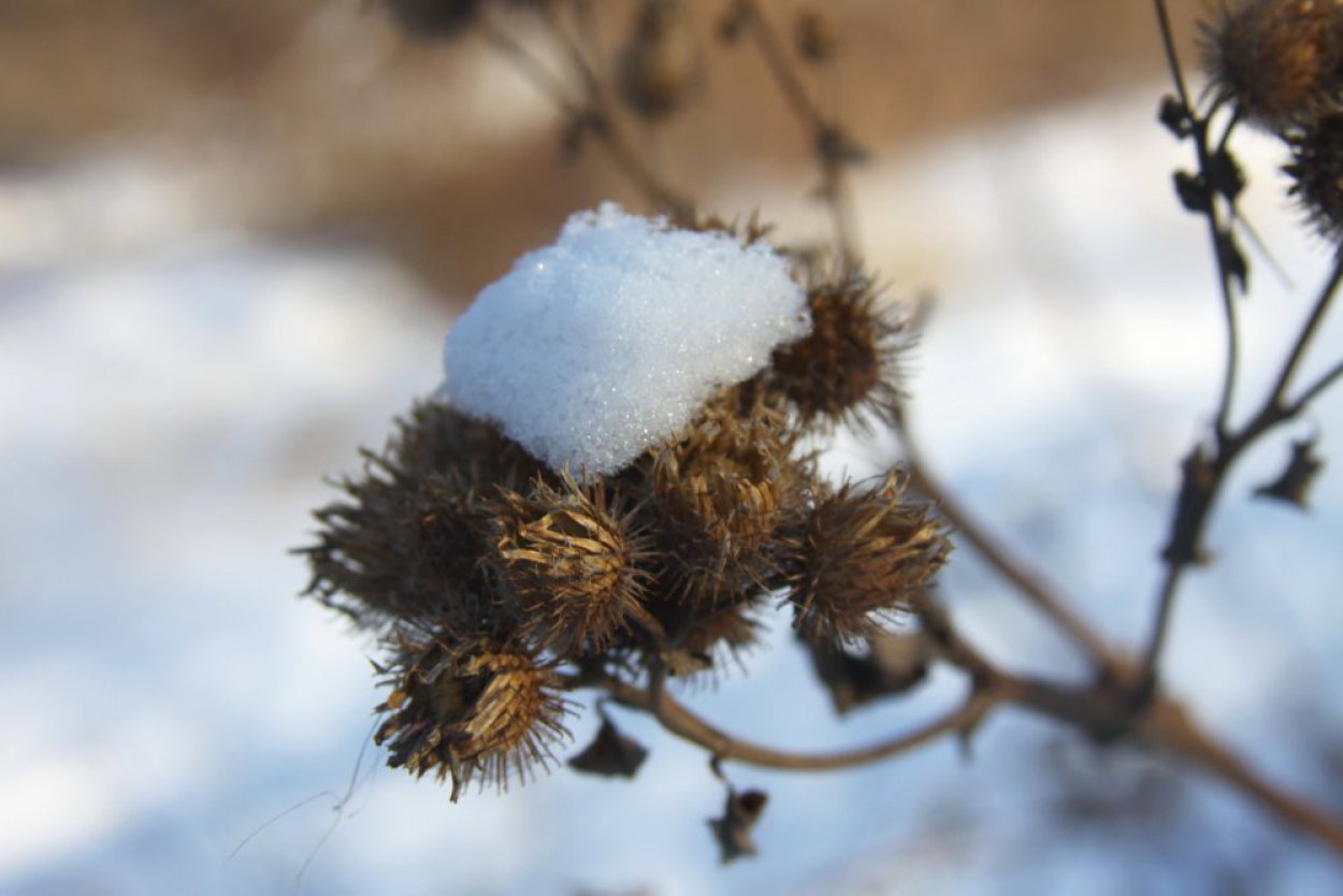 38 градусов, но ощущается, как 43: в Оренбуржье приходят экстремальные морозы