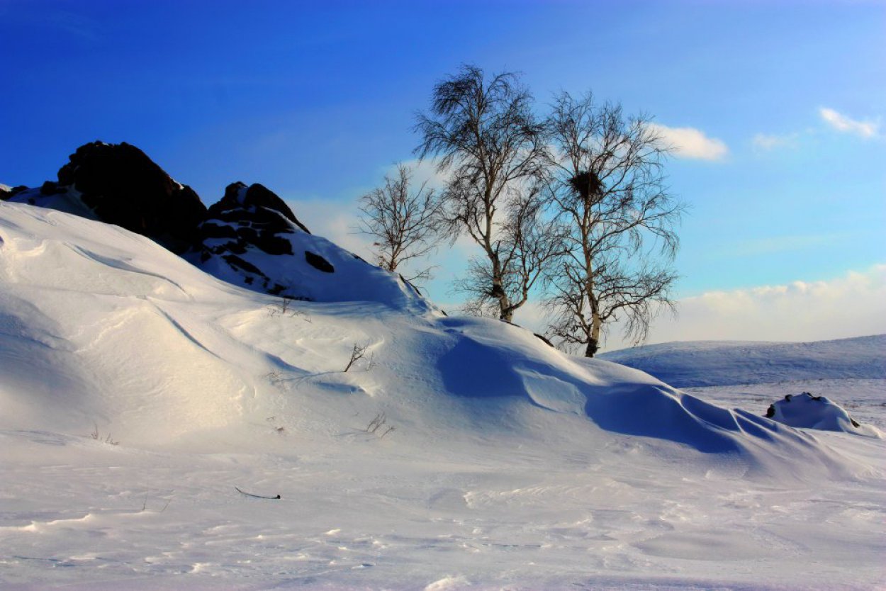 «Сюрпризы и погодные аномалии»: за снегопадами в Оренбуржье придут аномальные морозы