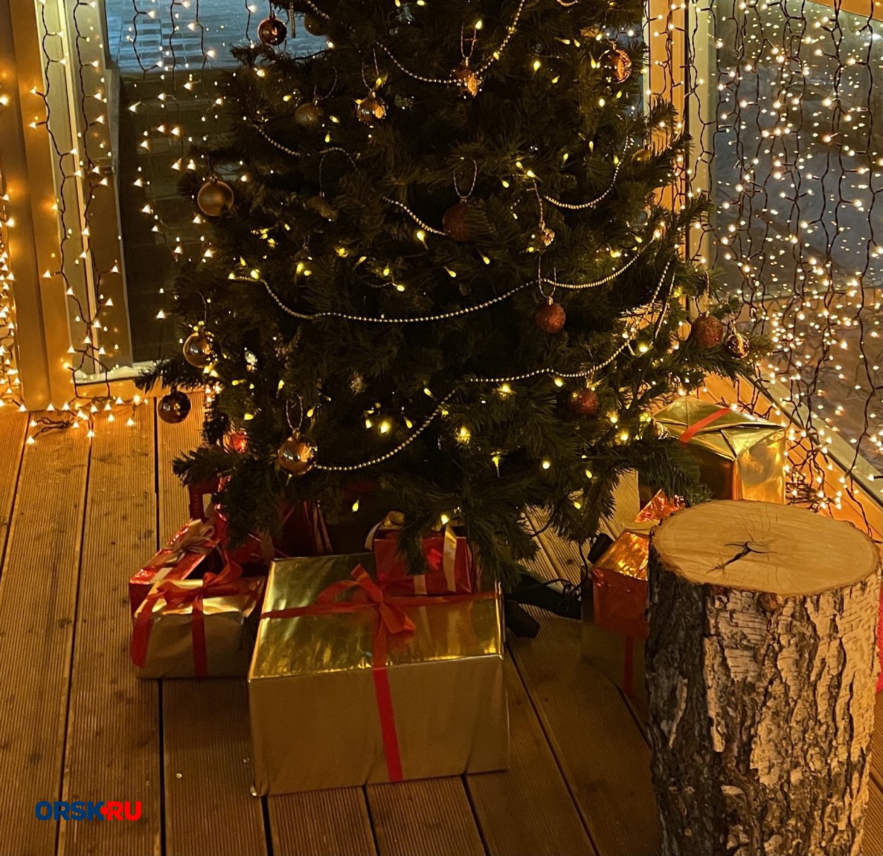 Как экологично избавиться от новогодней ёлки?