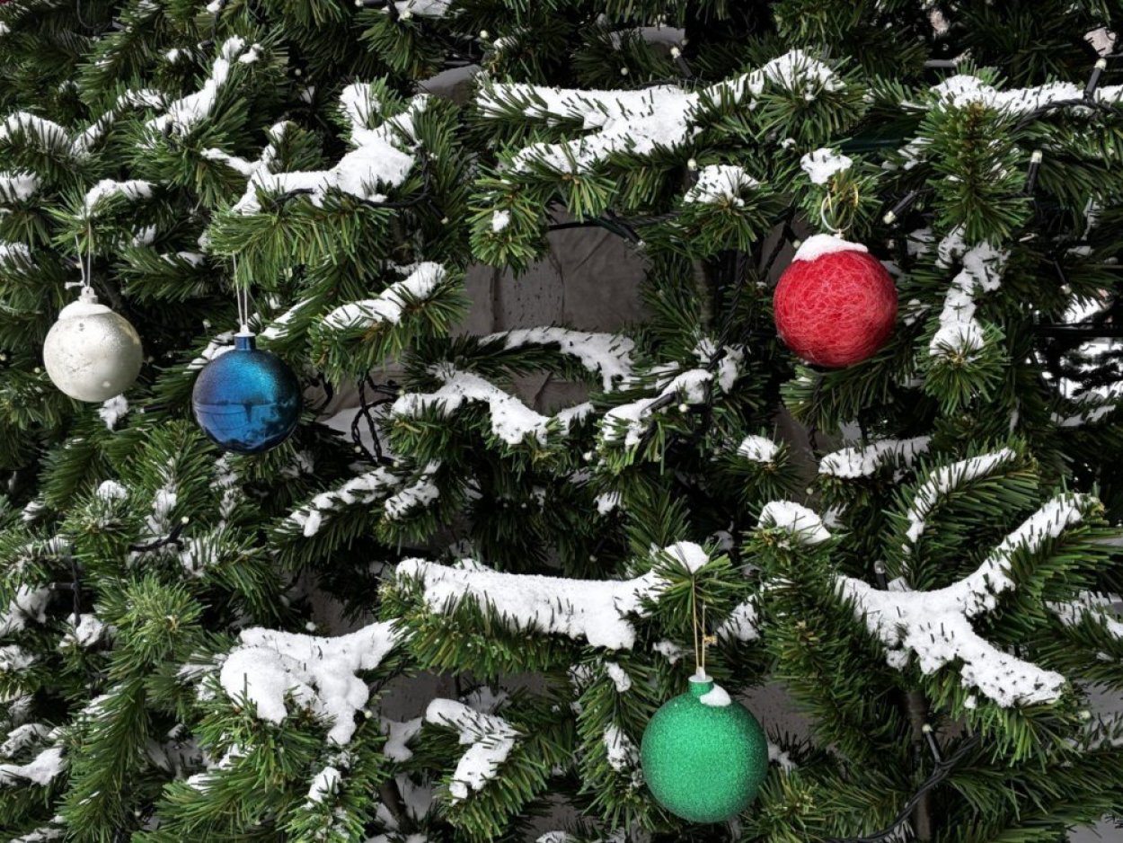 Умеренный мороз и много снега: какой будет погода в Оренбуржье в январе 2026 года?