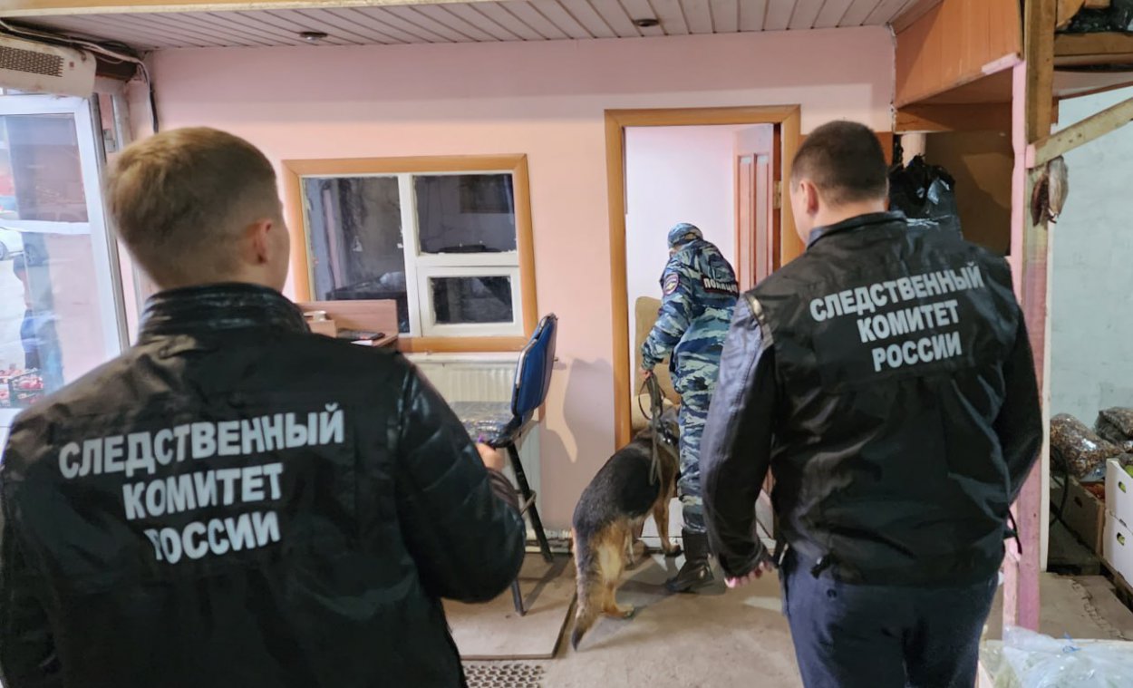  Фото: СУ СК РФ по Оренбургской области 