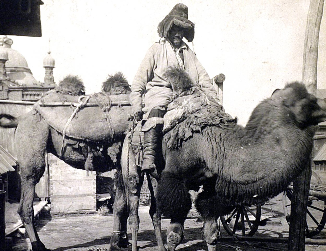 По следу, оставленному валенком: как сыщики 100 лет назад раскрыли жестокое убийство в степи