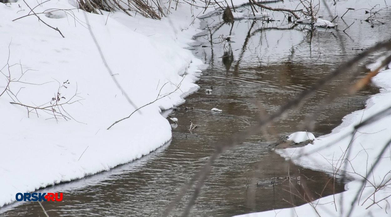 В Орске часть Елшанки оказалась в частной собственности В Орске часть Елшанки оказалась в частной собственности