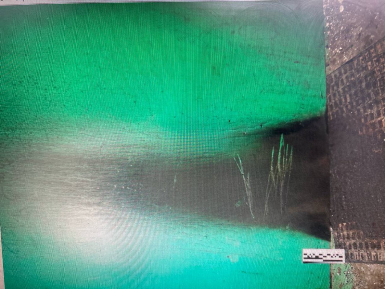 Фото: УМВД Оренбургской области