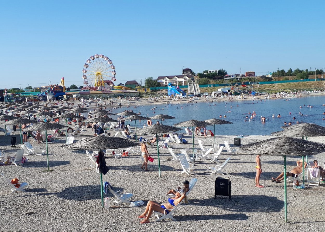 Агрессивные чайки напали на туристку: с берега соленого озера конфликт переместился в суд