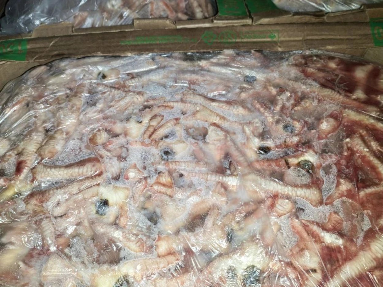 Фото: тг-канал Россельхознадзор Оренбург