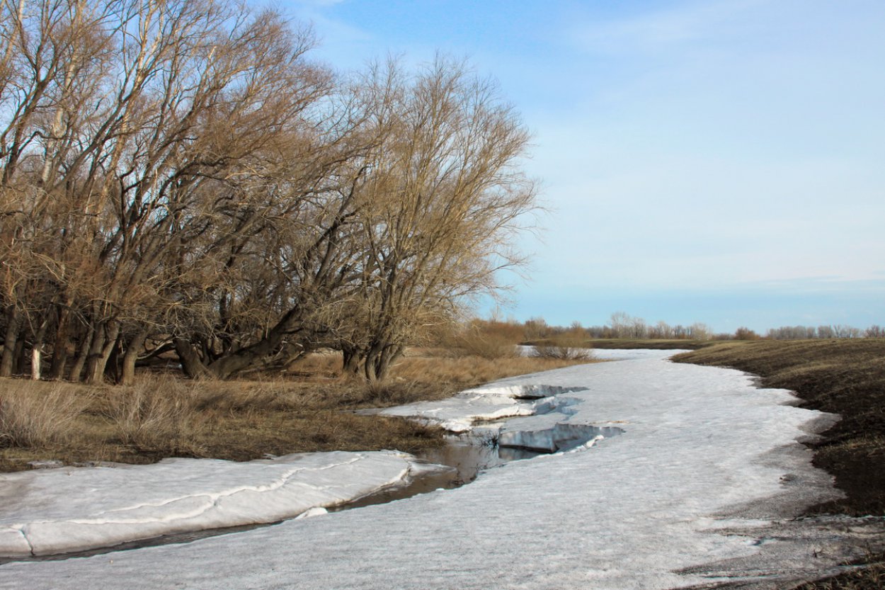 До 19 градусов тепла: в Оренбуржье приходит настоящая весна