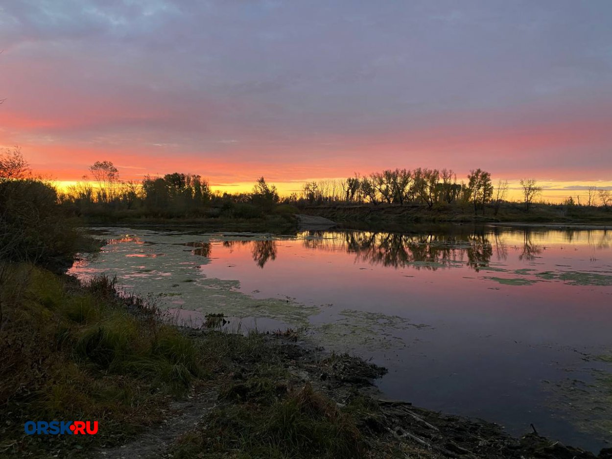 Погода на предстоящую неделю Погода на предстоящую неделю