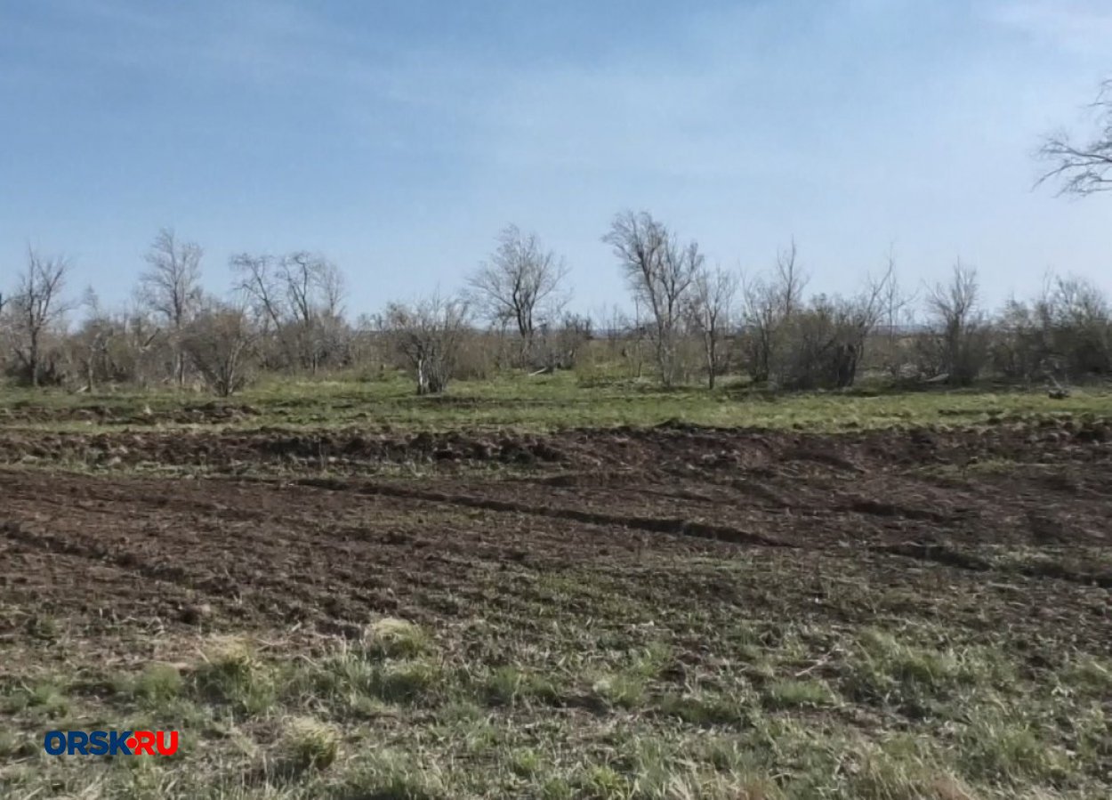 В Орске ищут подрядчика для опашки Ленинского района