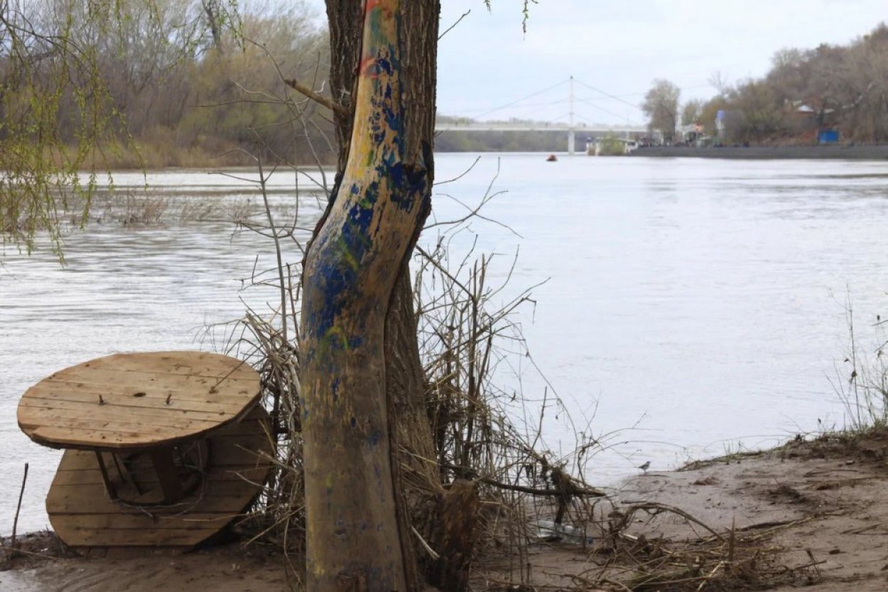 В Оренбуржье пришел Бишкунак: ожидается дождь, порывистый ветер и похолодание