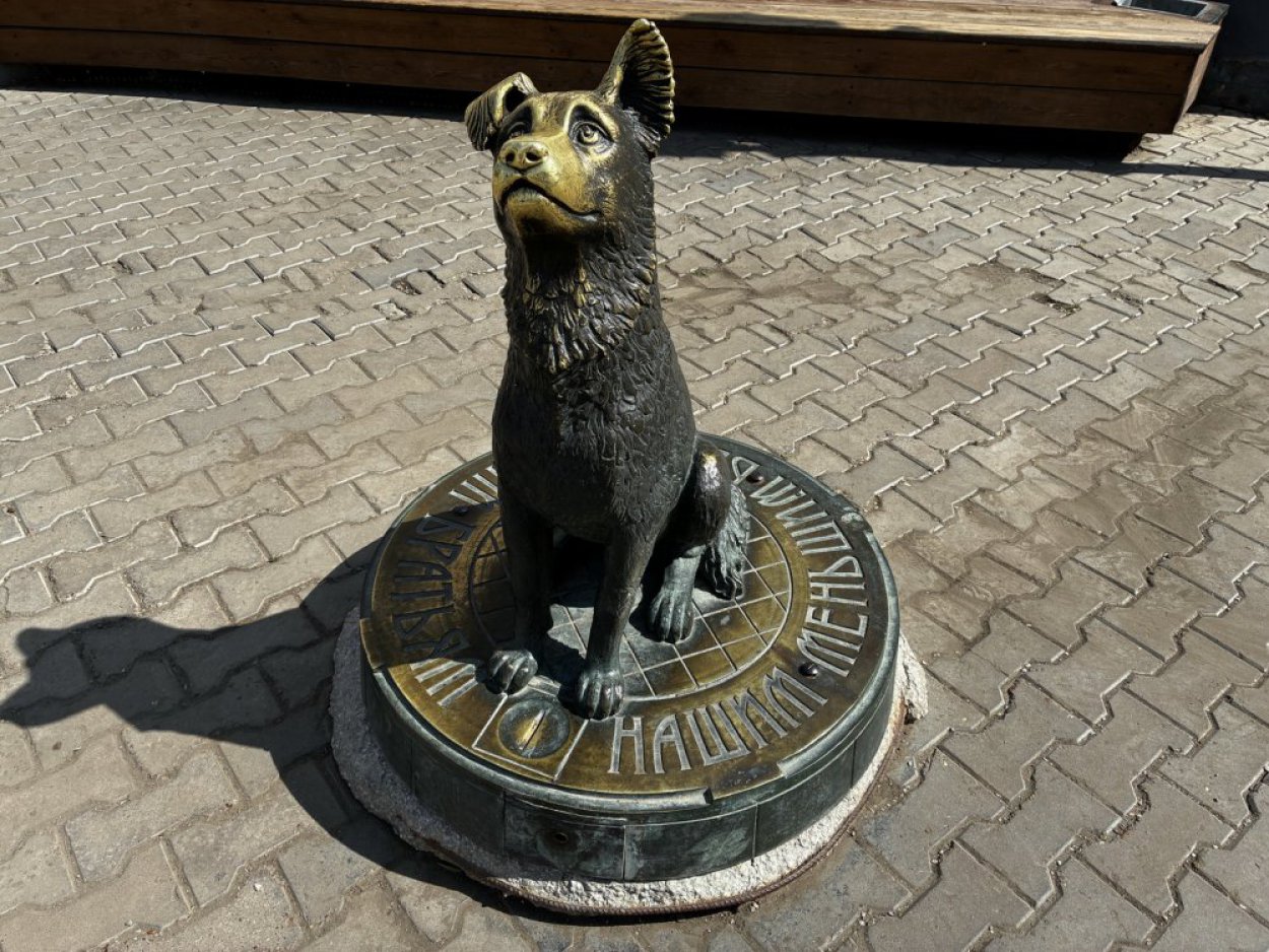 Бродячих собак в Оренбуржье будут уничтожать... в определенных случаях