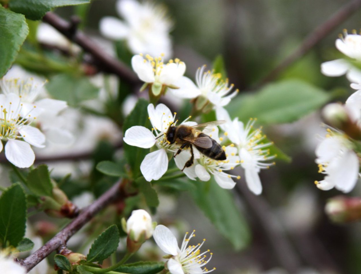 Обратно в март: погода в Оренбуржье снова испортится