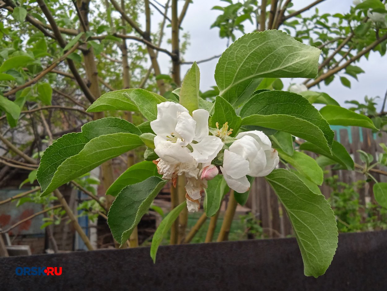 ​​Сегодня можно узнать, каким будет лето