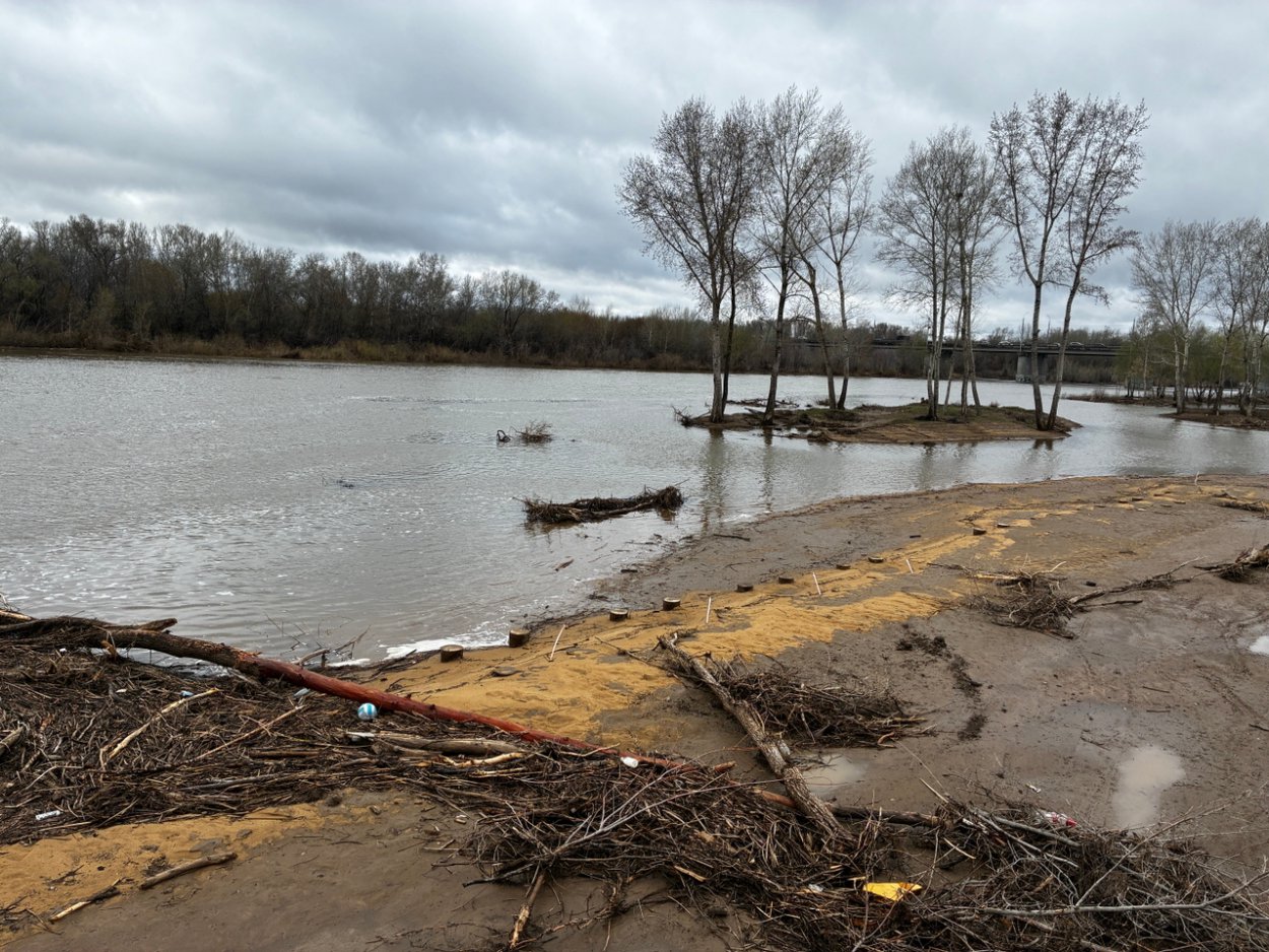 Липовая фирма и подставной директор: расчисткой русла Урала после наводнения занималась очень подозрительная контора