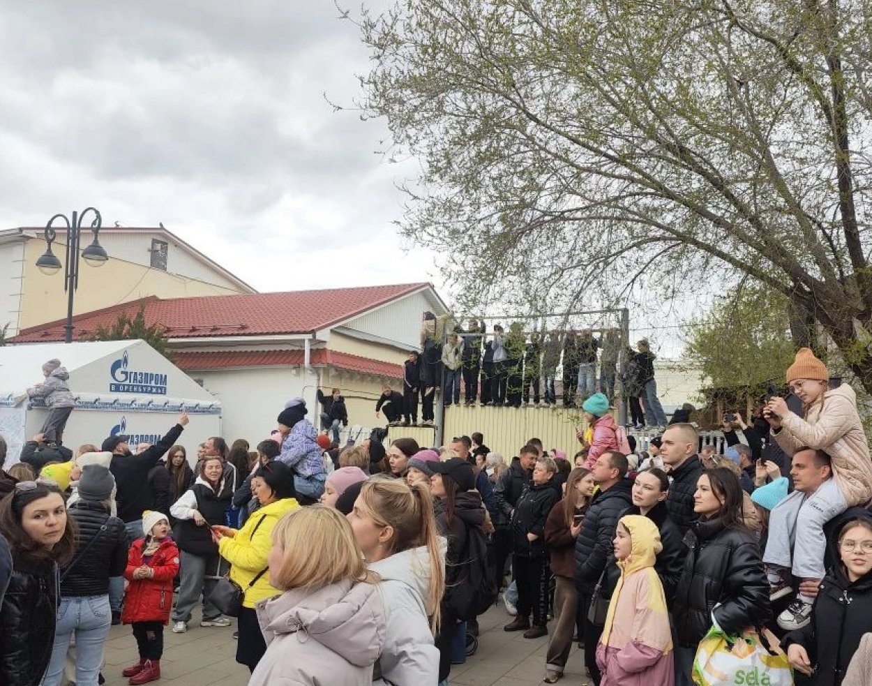 Давка на Советской: оренбуржцы кинулись посмотреть на певицу-актрису-блогерку