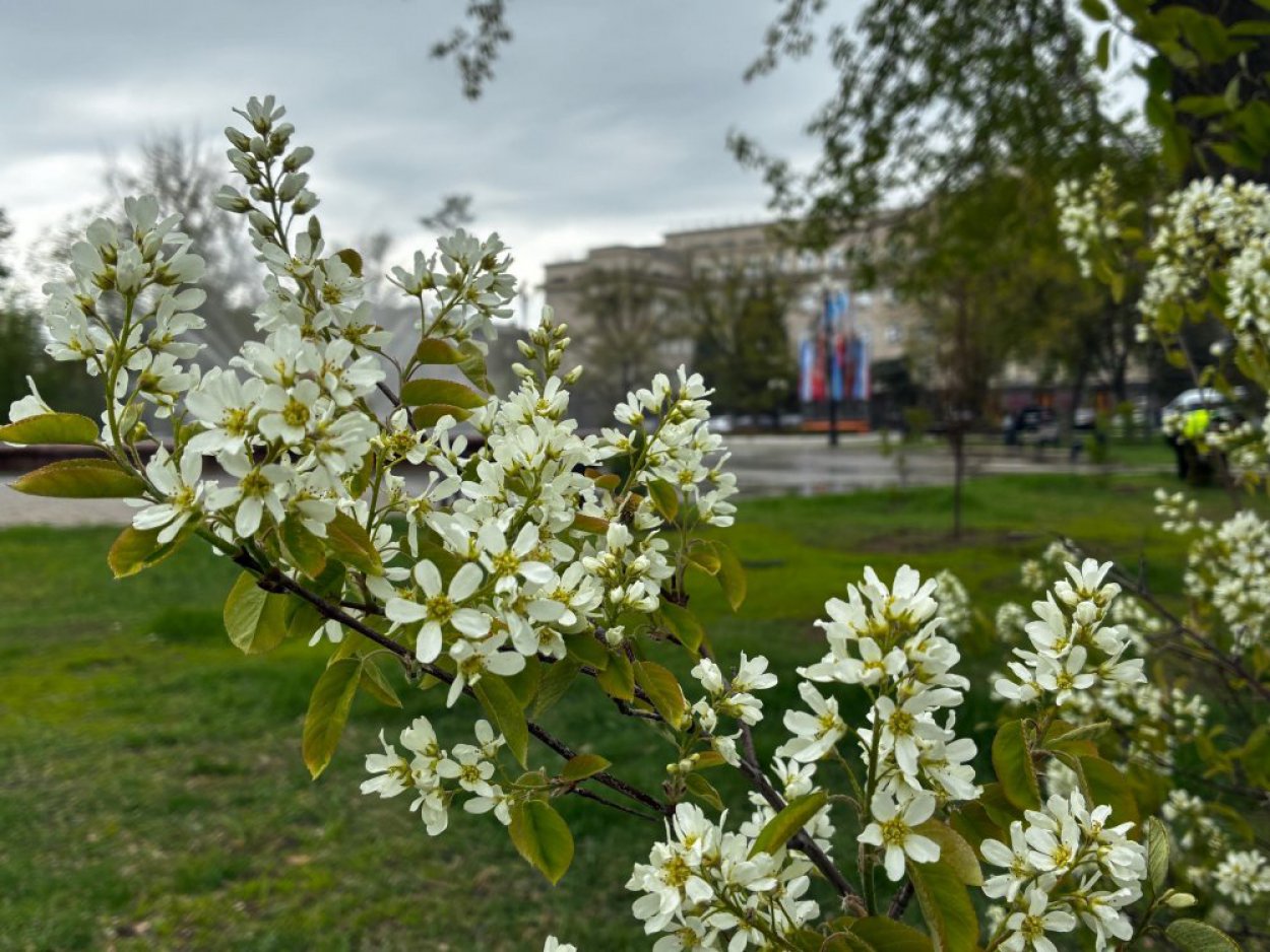 Бишкунак закончился, но холод не уходит. Какая погода ожидается в конце весны-начале лета в Оренбуржье?