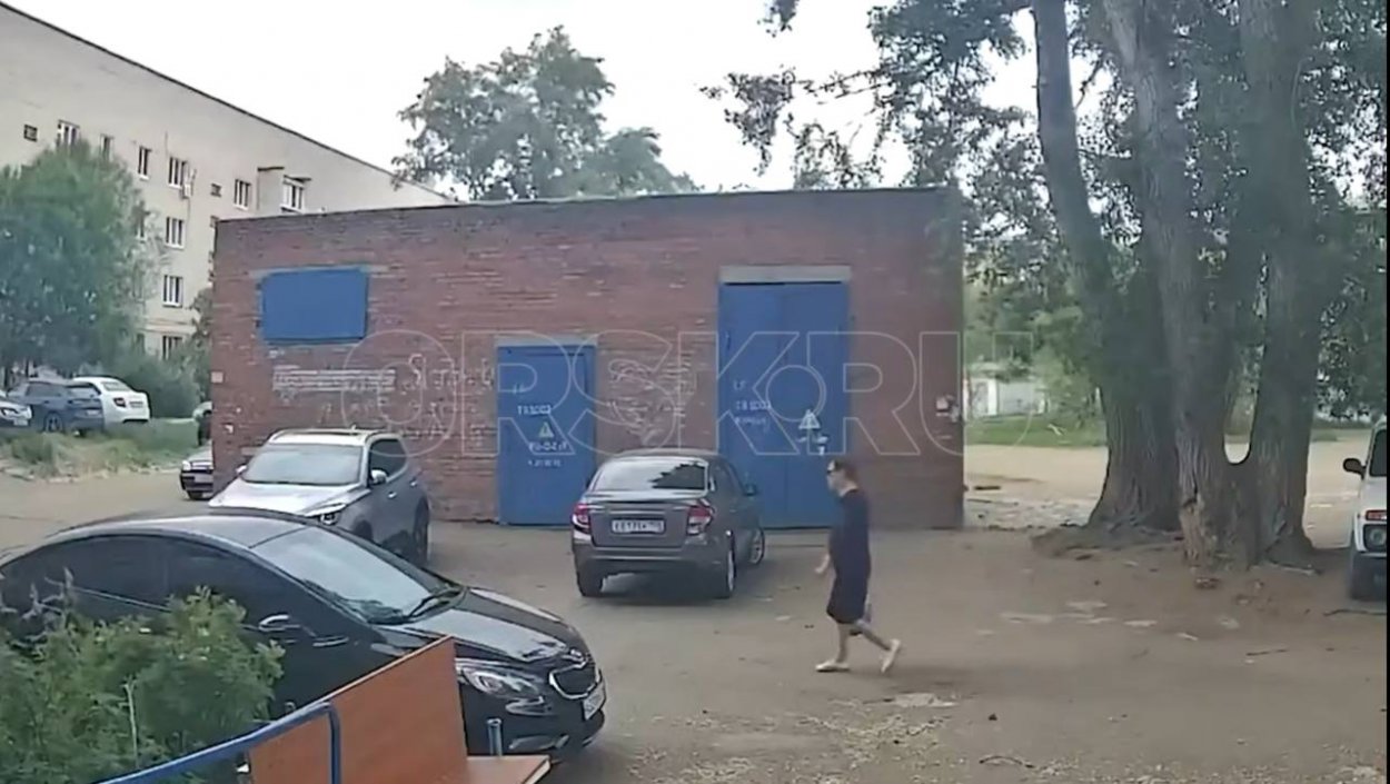 В Орске ветка дерева рухнула в метре от женщины В Орске ветка дерева рухнула в метре от женщины