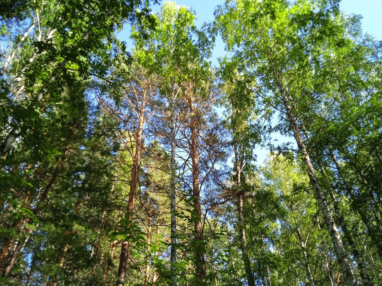 ​В народе верили, что в этот день духи хотят лишить мужиков их силы