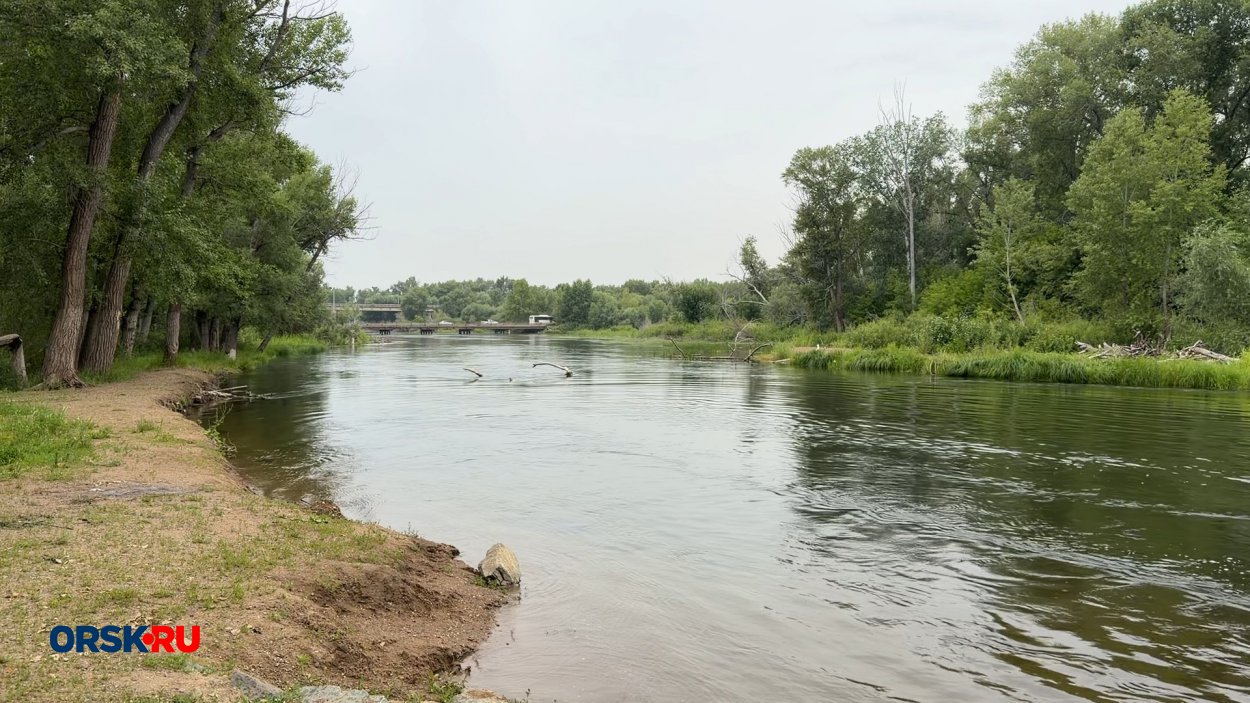 Уровень Урала у Орска резко увеличился. На сколько поднялась вода? Уровень Урала у Орска резко увеличился. На сколько поднялась вода?