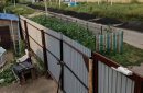 фото предоставлено: Людмилой Полозковой