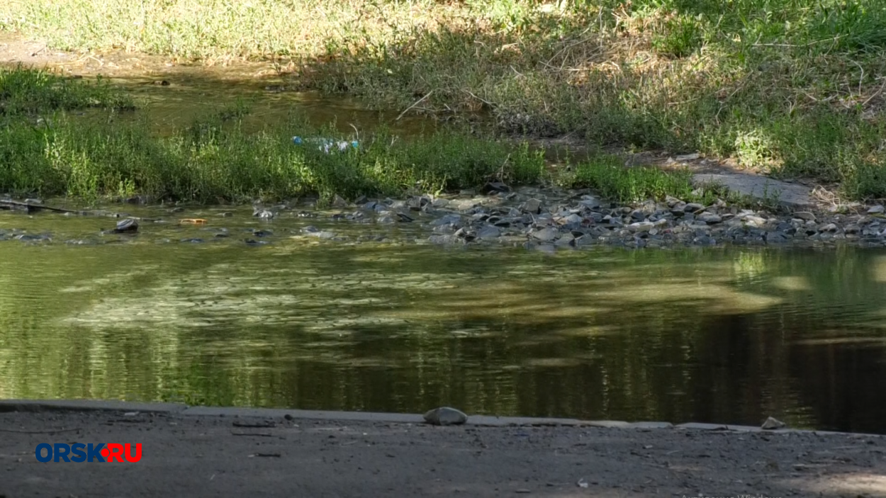 Поливать цветы нельзя — вода питьевая, а утечка никого не волнует