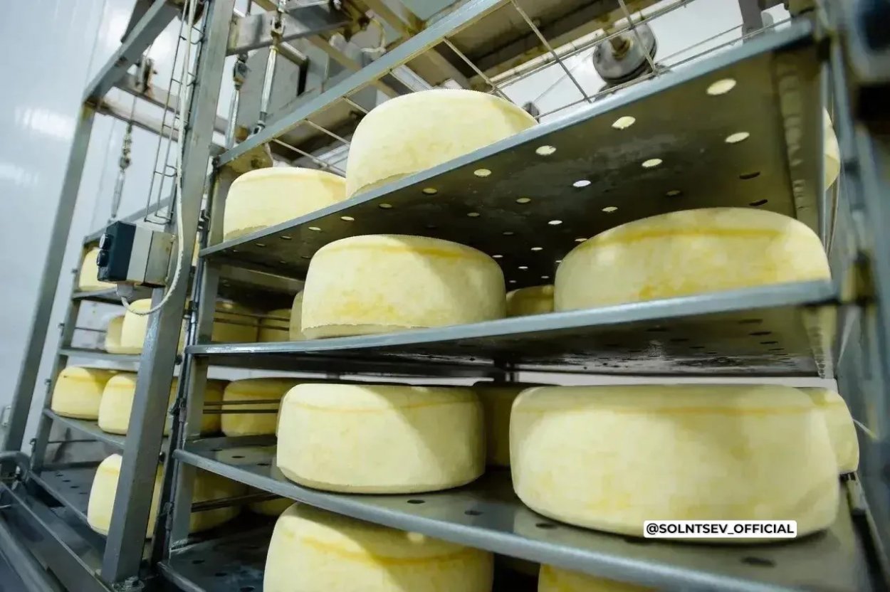 От зерна до мороженого: как Оренбуржье продвигает свою продукцию за рубежом От зерна до мороженого: как Оренбуржье продвигает свою продукцию за рубежом