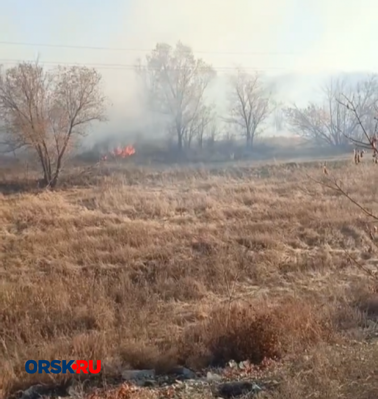 В районе Старого города горят сады В районе Старого города горят сады