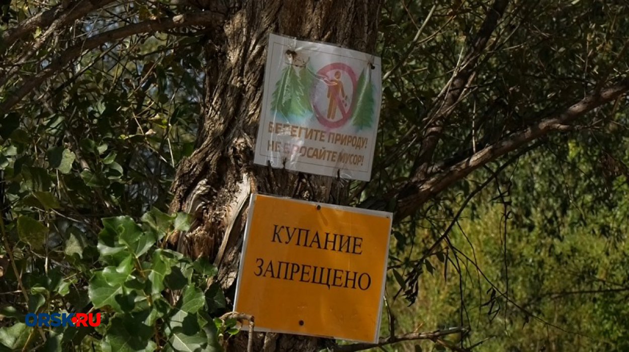 Купание станет дороже: в Оренбуржье вдвое увеличили штрафы за нарушения на водоёмах